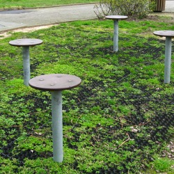 Trail and fitness equipment at Westbourne Green, stepping stools